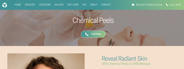 Snapshot of theomnispa.com