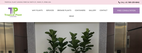 Snapshot of tropicalplantleasing.com