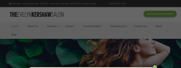Snapshot of evelynkershawsalon.com