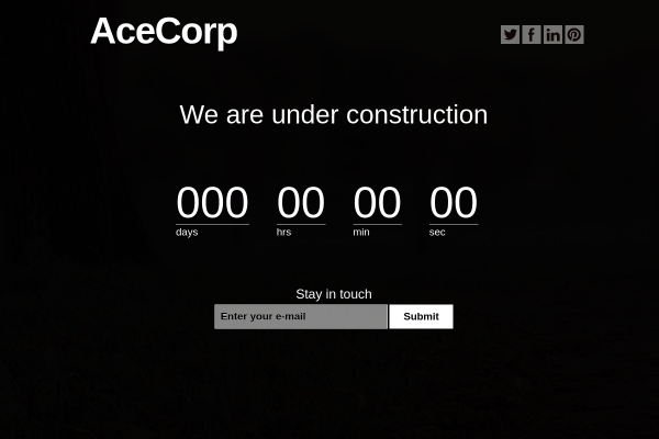 Ace Corp Official