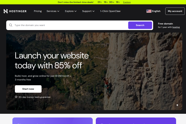 Hostinger official website
