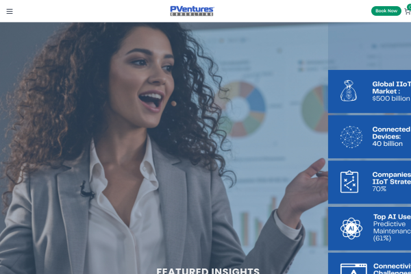 PVentures Consulting Website Preview