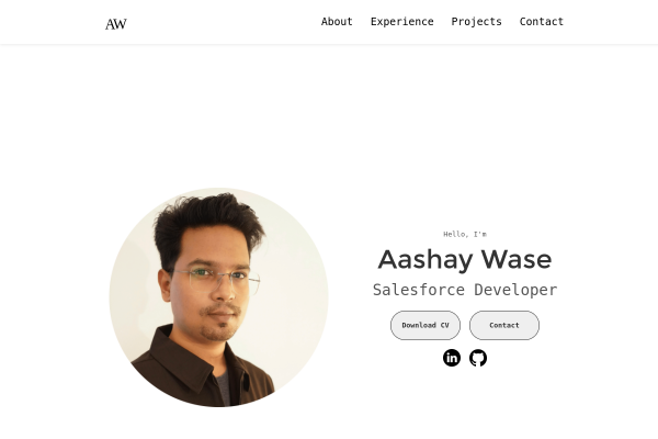 Aashay Wase site preview