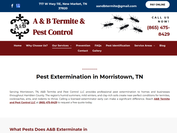 Pest Extermination Morristown Tn
