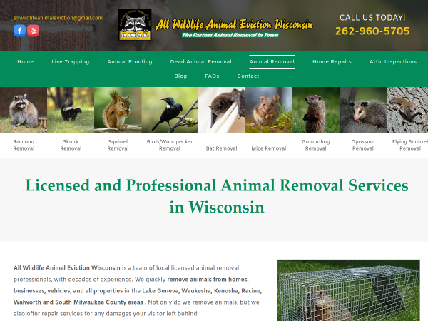 Animal Removal Salem Lakes WI