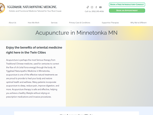 Acupuncture Treatment in Minnetonka MN