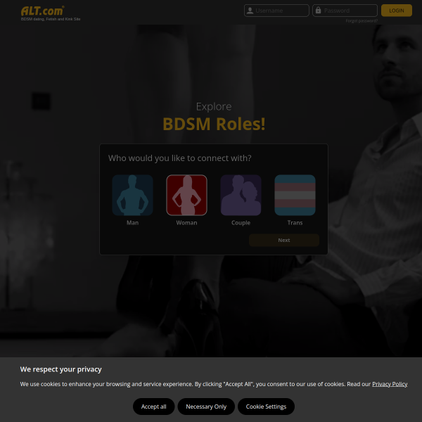 Website preview of Altın koza 2 sitesi