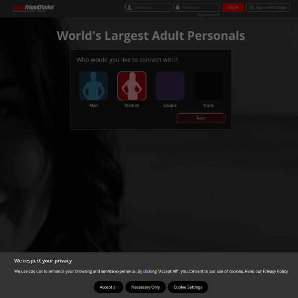 Website preview of Amigos