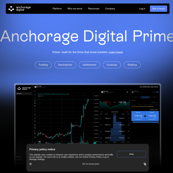 Website preview of ANCHORAGE SECURITIES AND FINANCE LIMITED