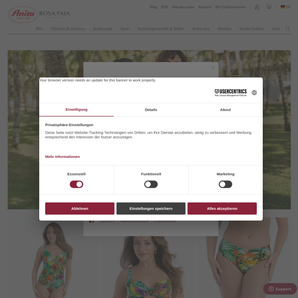 Website preview of Anita Hotel