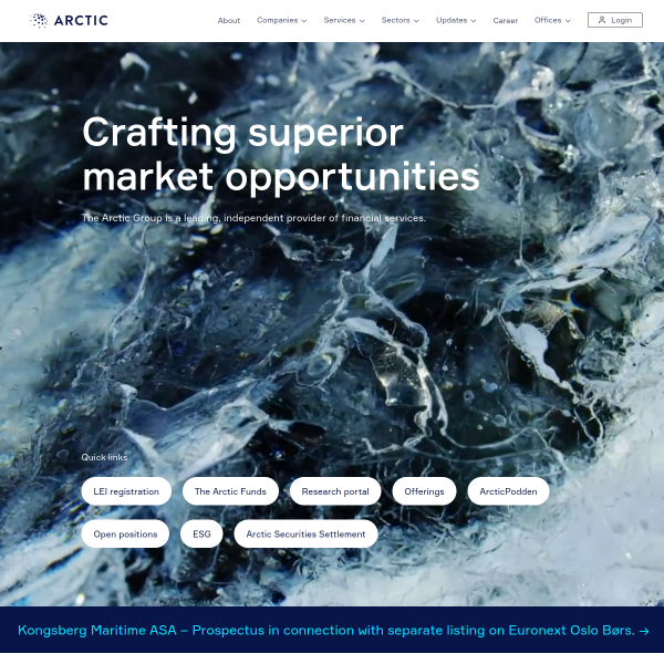 Website preview of Arctic Vision Oy