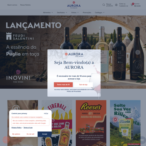 Website preview of AURORA STENICO MOTTA