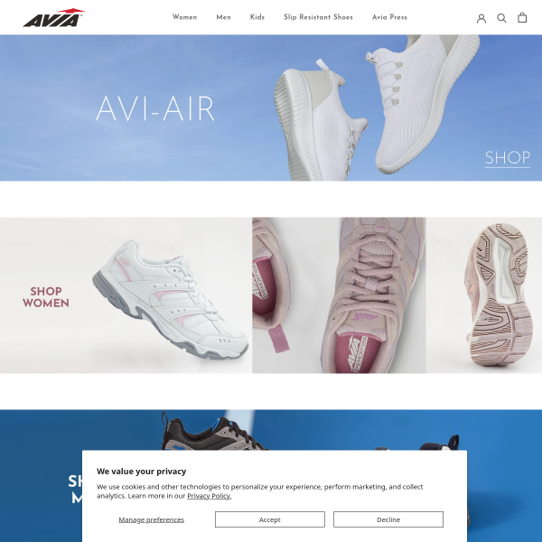 Website preview of AVIA CHARTERS LLC