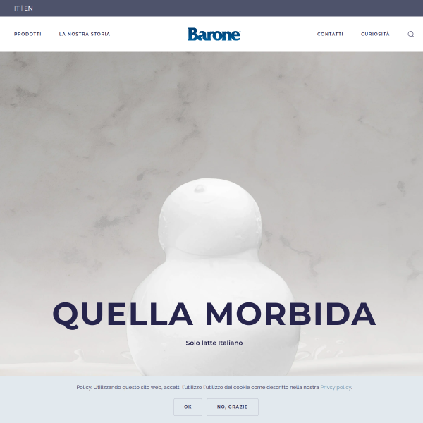 Website preview of BARONE GIACOMINO