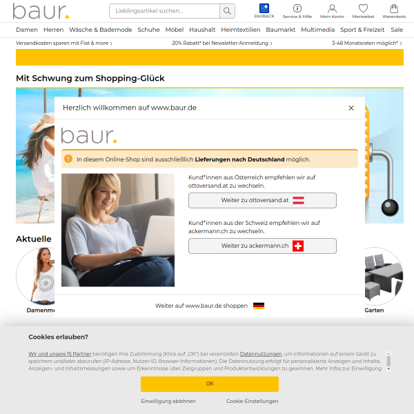Website preview of baur maschinenmesser