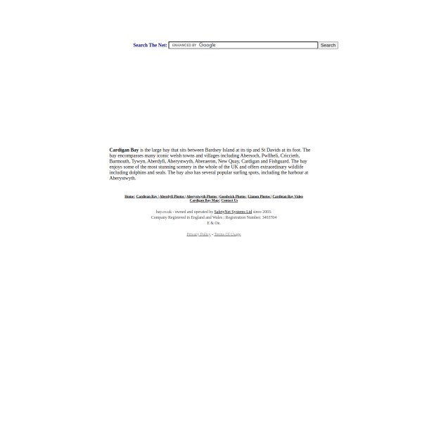 Website preview of BAY CARE VENTURES LTD