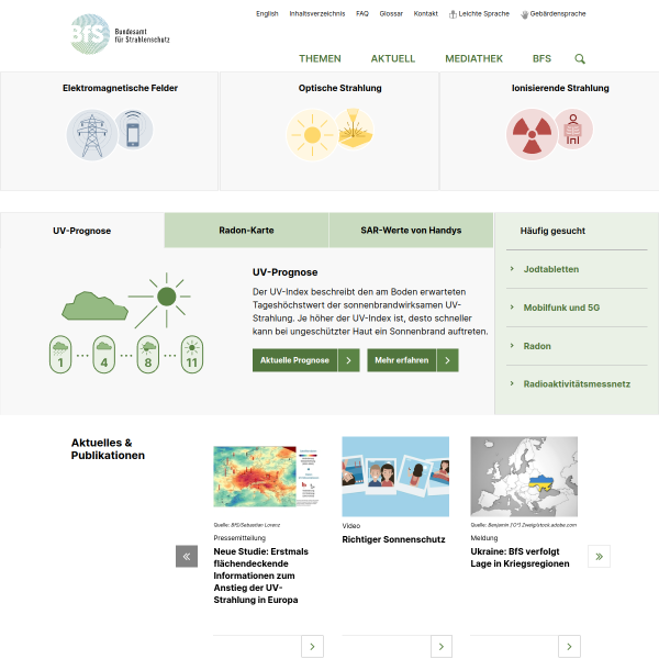 Website preview of BFS/ESaK-Stiftung