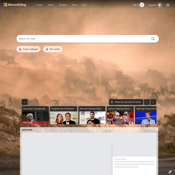 Website preview of BING BING SPORTS LLC
