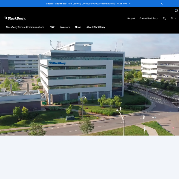 Website preview of Blackberry_lounge_vld