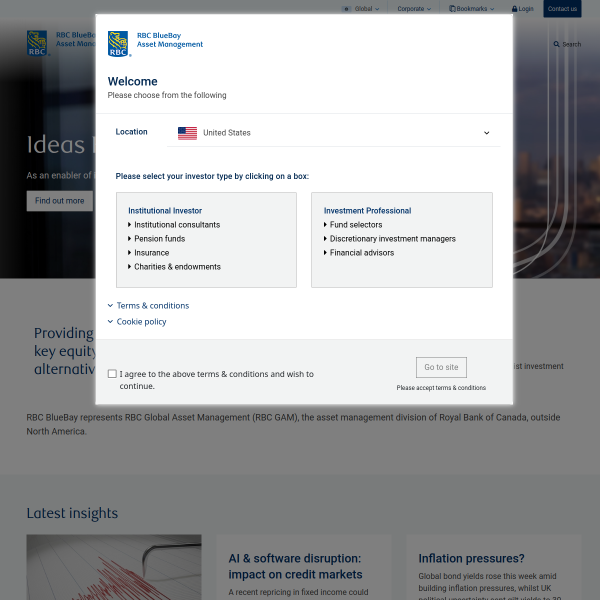 Website preview of BLUEBAY MAURITIUS INVESTMENT LIMITED