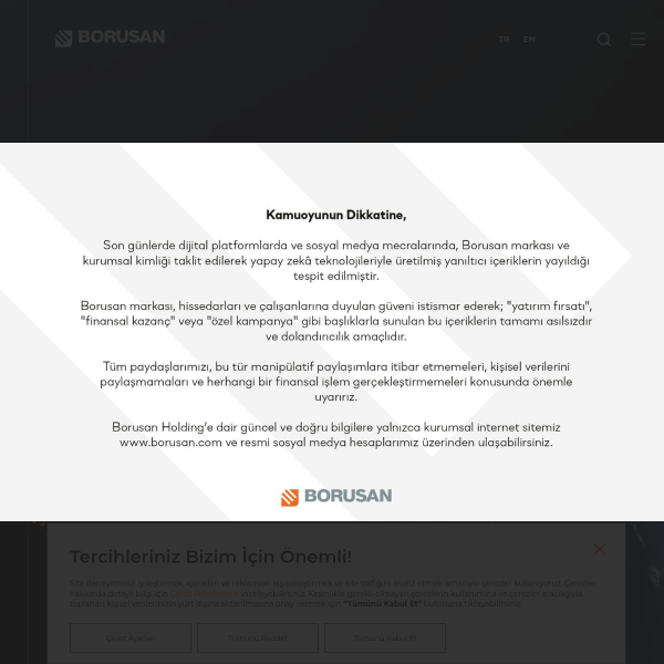 Website preview of BORUSAN OTOMOTİV İTHALAT VE DAĞITIM ANONİM ŞİRKETİ