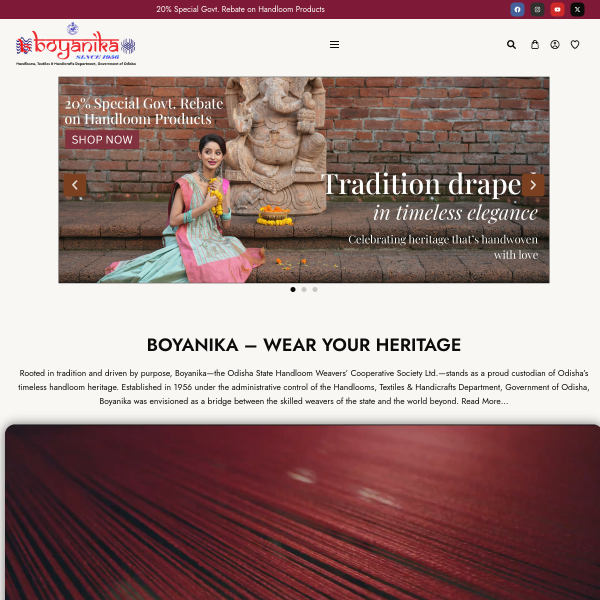 Website preview of Boyanika