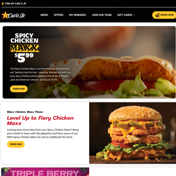 Website preview of BURGERS AND BREW STATION 1 LLC