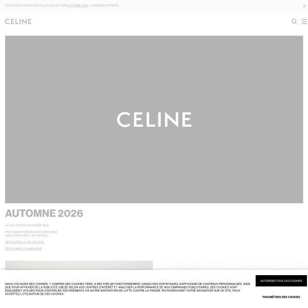 Website preview of CELINE FOUSSAC