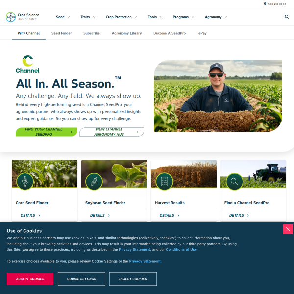 Website preview of Channel 8 News