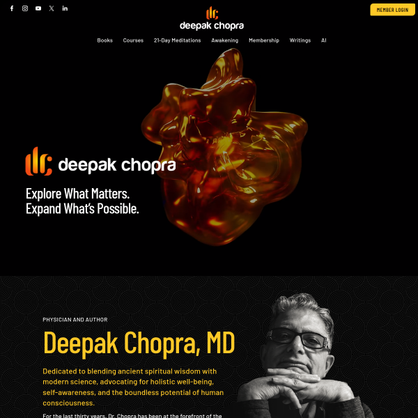 Website preview of Chopra Properties