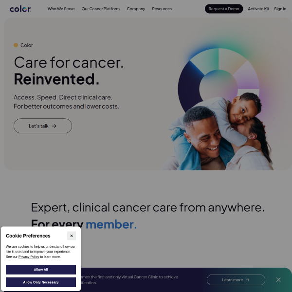 Website preview of Color Group