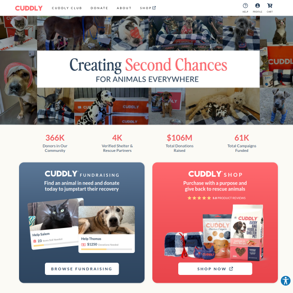 Website preview of Cuddly Bear Day Care Centre