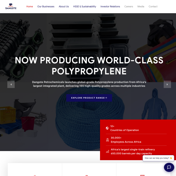 Website preview of DANGOTE FLOUR MILLS PLC