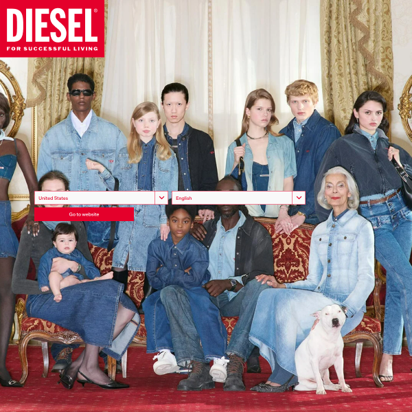 Website preview of Diesel and Hydraulics