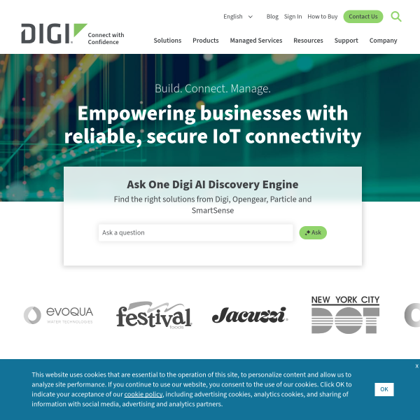 Website preview of Digi Store