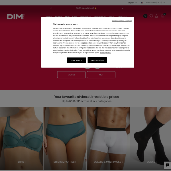Website preview of DIM SOLUTION