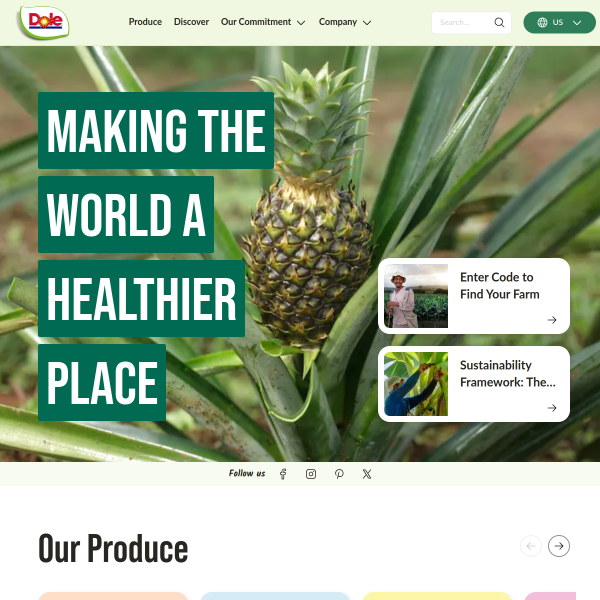 Website preview of DOLE SHARED SERVICES LIMITED