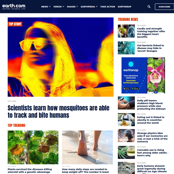 Website preview of Earth Airlines
