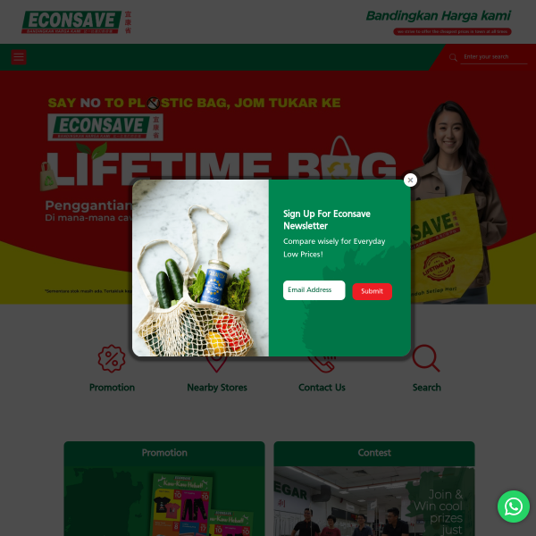 Website preview of Econsave Pontian