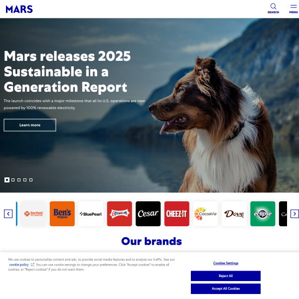 Website preview of Effem Makine Endustri Ticaret AS