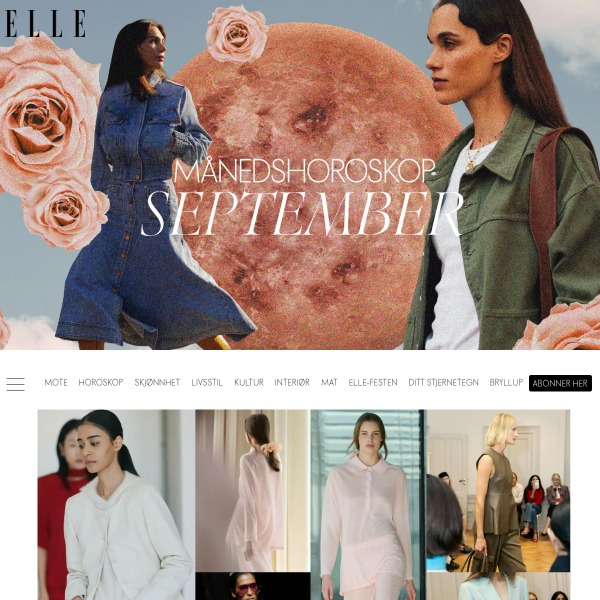 Website preview of ELLE MELLE TING AS