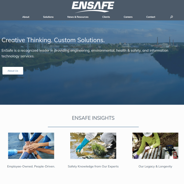 Website preview of ensafe.care