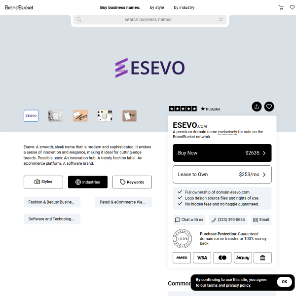Website preview of Esevo Tech