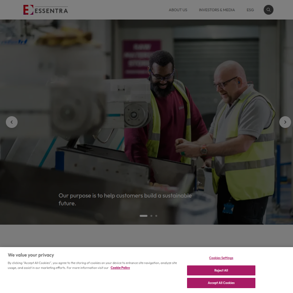 Website preview of ESSENTRA PACKAGING IRELAND LIMITED