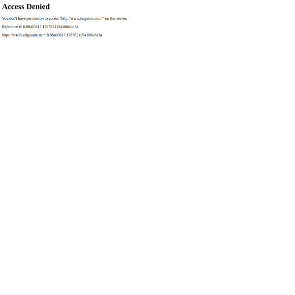 Website preview of Ferguson Tire