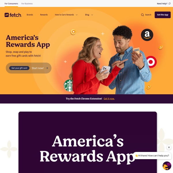 Website preview of Fetch Store Guatemala