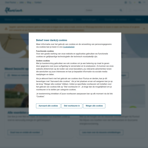 Website preview of Fluvius Limburg