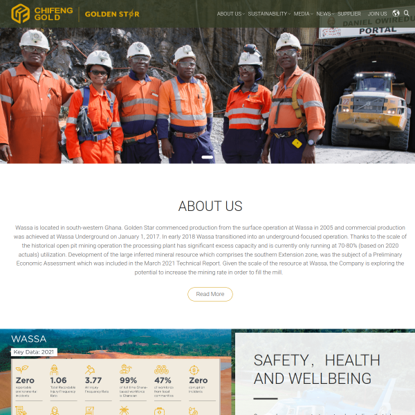 Website preview of gsr brand midas