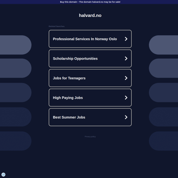 Website preview of HALVARD & ARNT BERGAN ANS