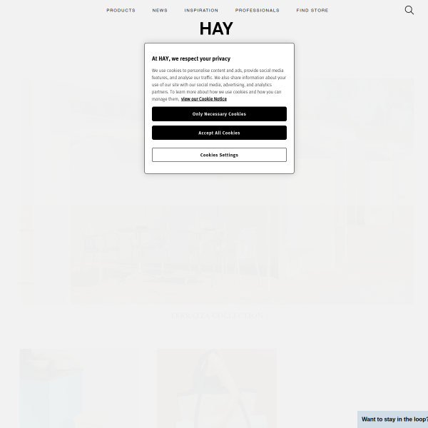 Website preview of hay bravo hotel and  suites